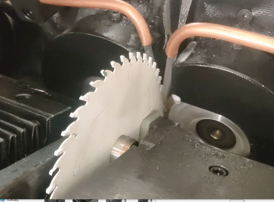 উচ্চ নির্ভুলতা উচ্চ নির্ভুলতা Torsel Saw Grinding Machine